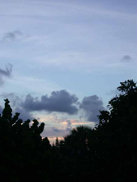 DSCN1605