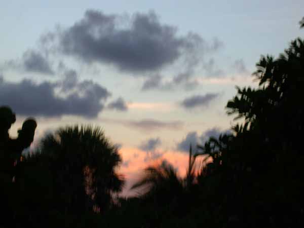 DSCN1614