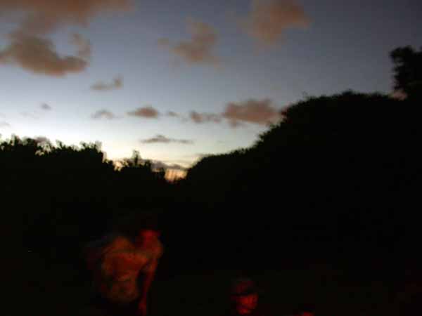 DSCN1625