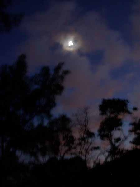 DSCN1626