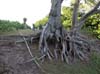 DSCN1590
