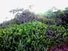 DSCN1596