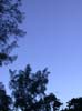 DSCN1598