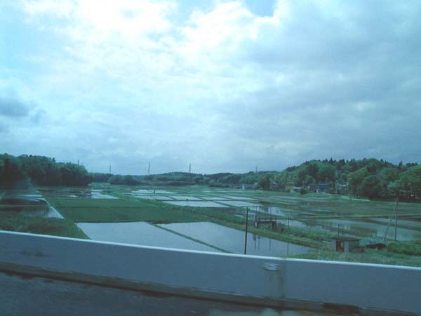 DSCN7859
