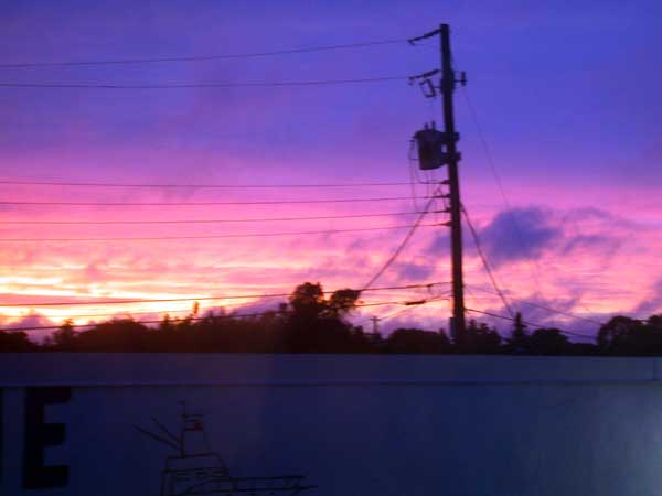 DSCN0787