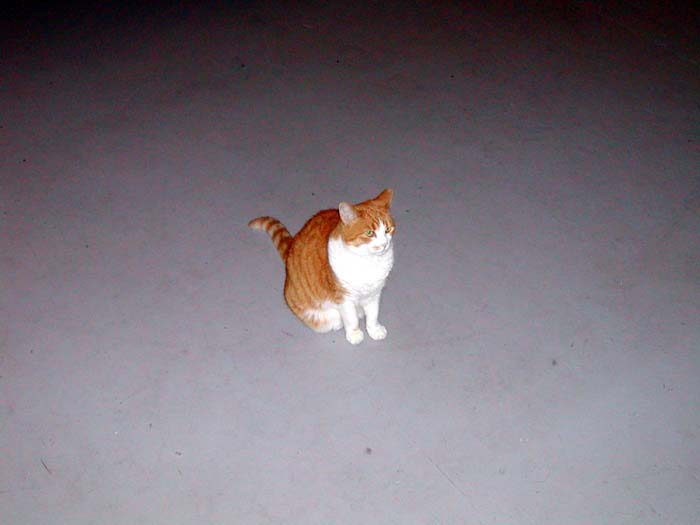 P1010011